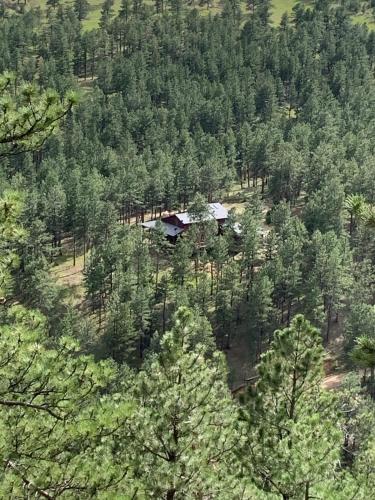 Your Mountain Retreat in Loveland, United States