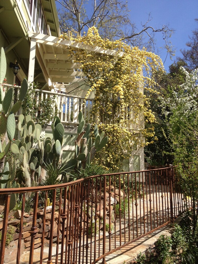 Barretta Gardens Inn - photo 38