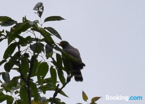 Finca Agualinda in San Francisco, Colombia