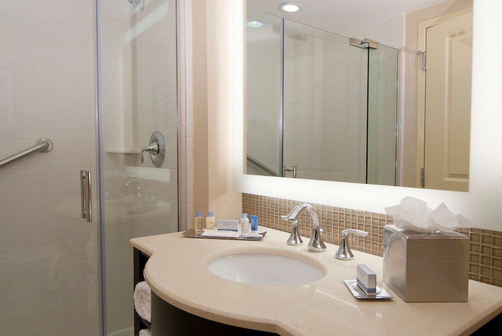 DoubleTree by Hilton Sterling Dulles Airport - photo 25