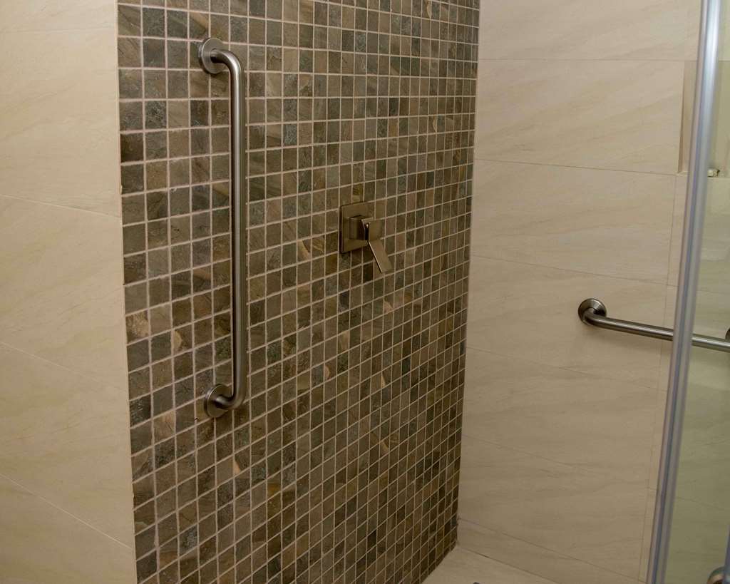 Handicap shower