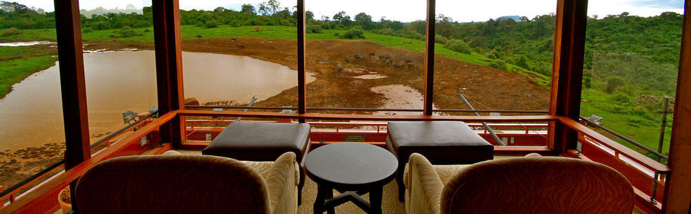 The Ark — Nyeri — photo 5
