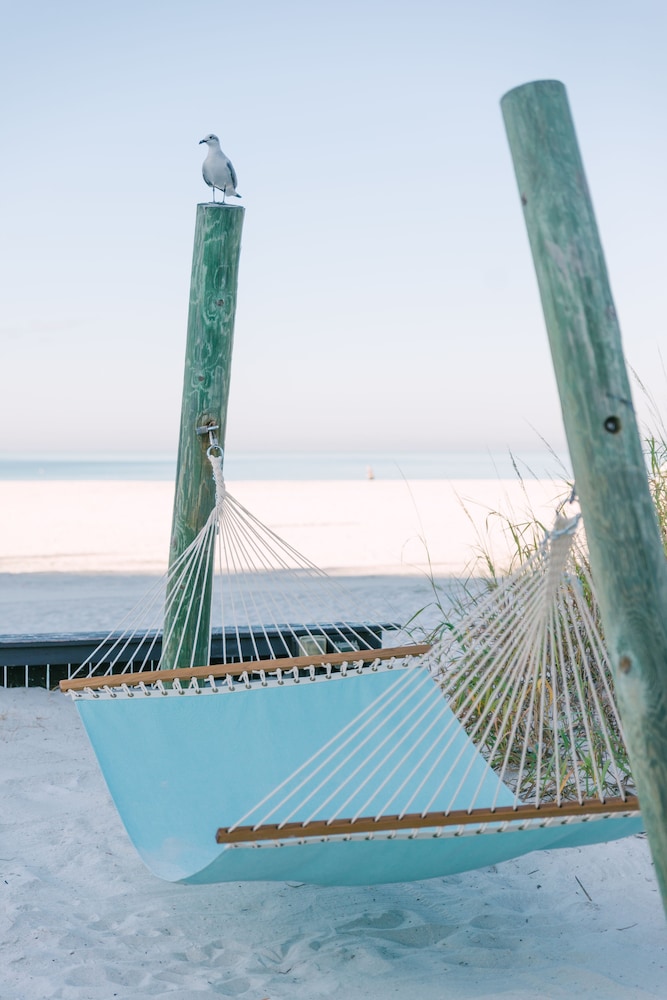 St Pete Shores Hotel - photo 36