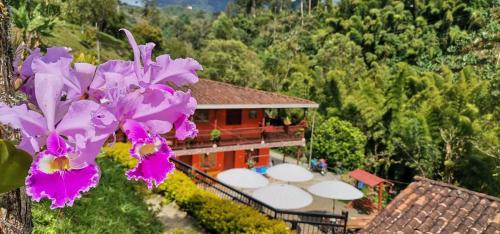 Hotel Orillas del Pizano in Jardin, Colombia
