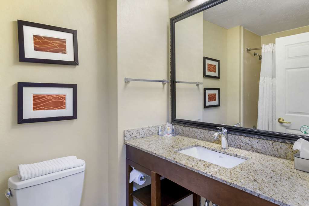 Comfort Inn Columbus near Fort Benning - photo 18