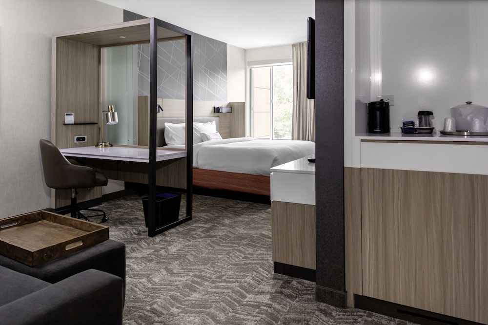 SpringHill Suites by Marriott Atlanta Alpharetta Roswell - photo 3