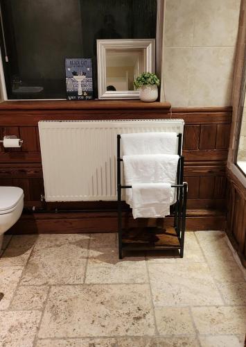 Cosy Central Hideaway near the Brecon Beacons — Ystradgynlais — photo 4