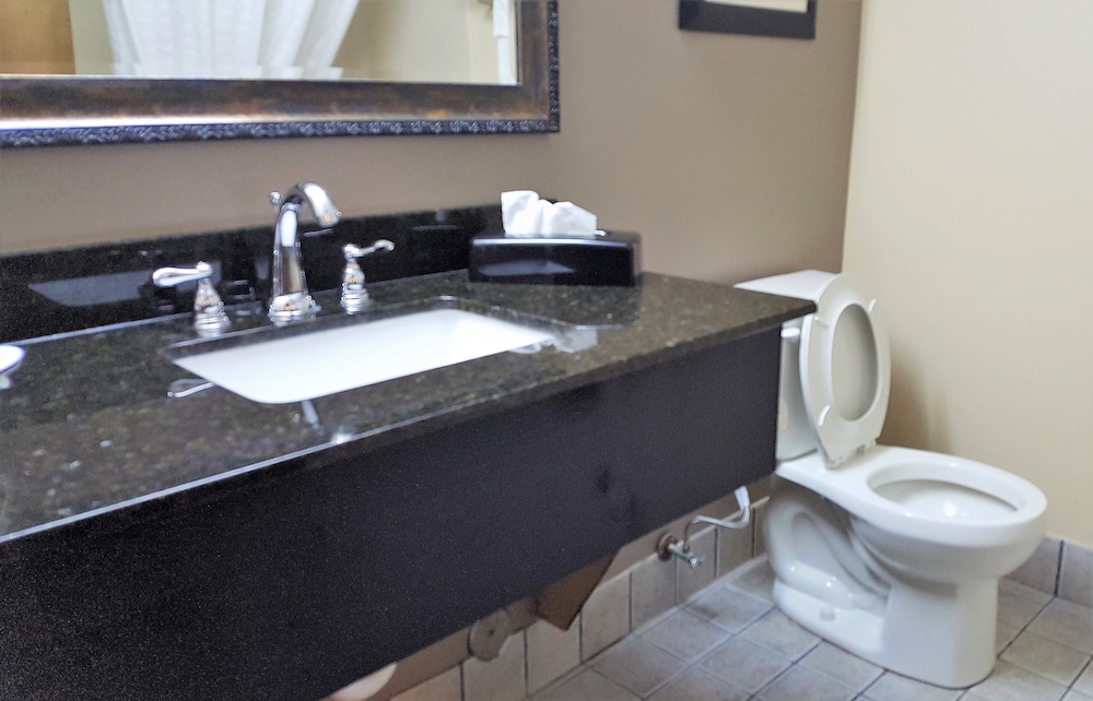 Baymont by Wyndham Belleville Airport Area - photo 27