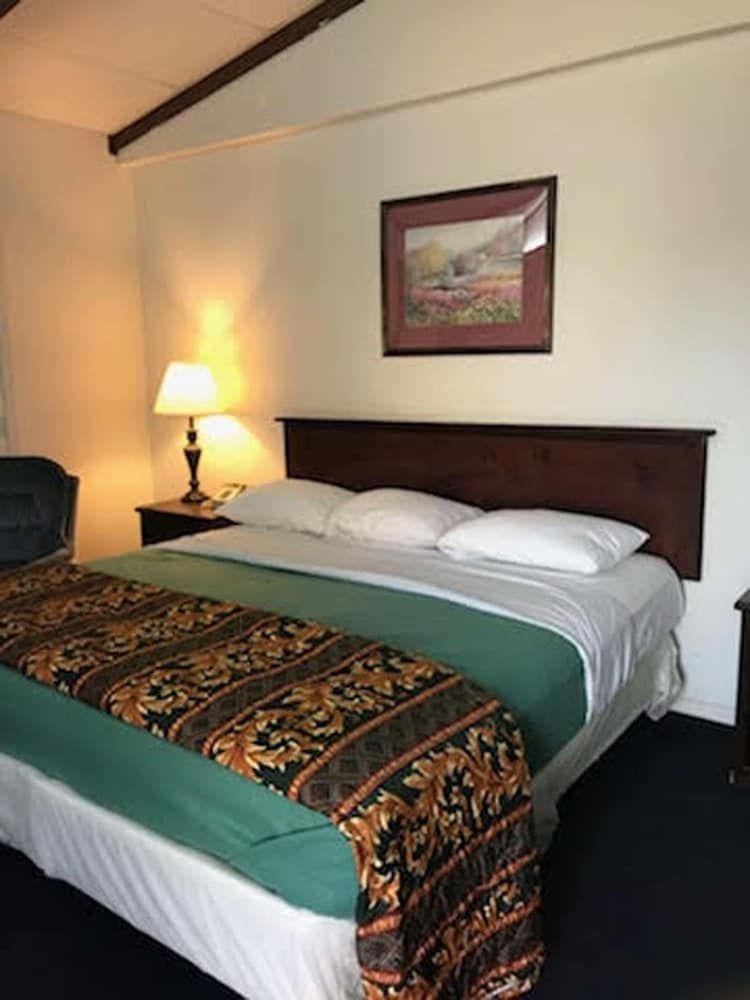 Cactus Inn and Suites - photo 13
