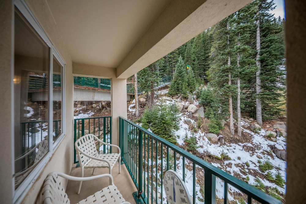 Iron Horse by Stay Winter Park - photo 51