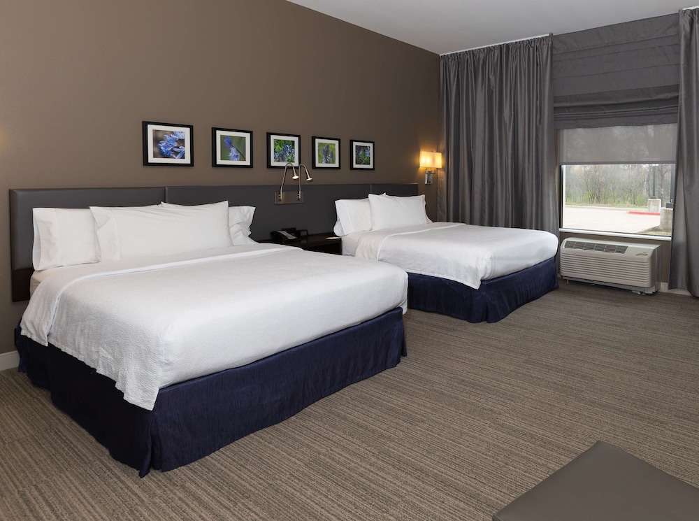Hilton Garden Inn Austin Airport - photo 12
