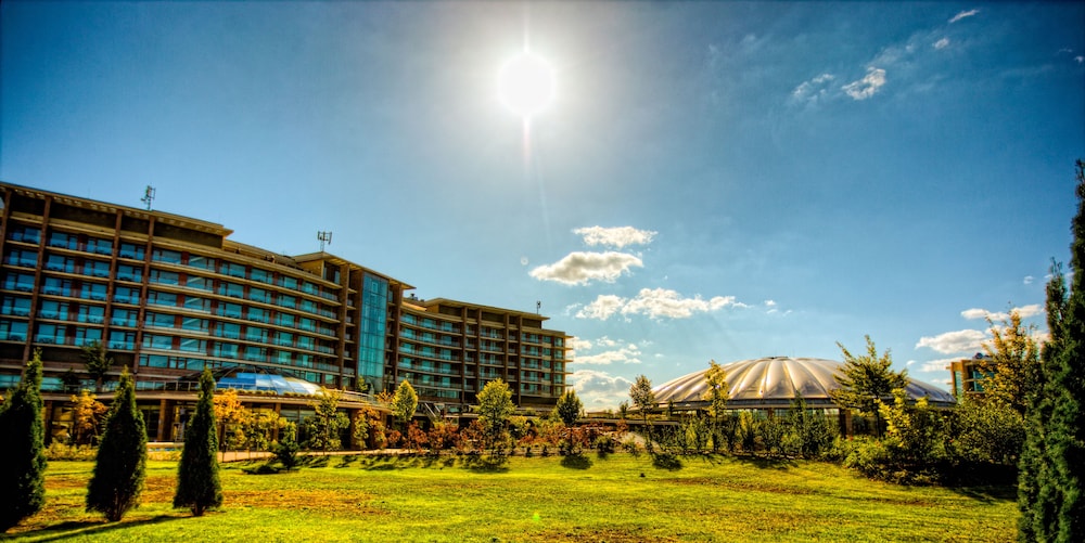 מראה חיצוני