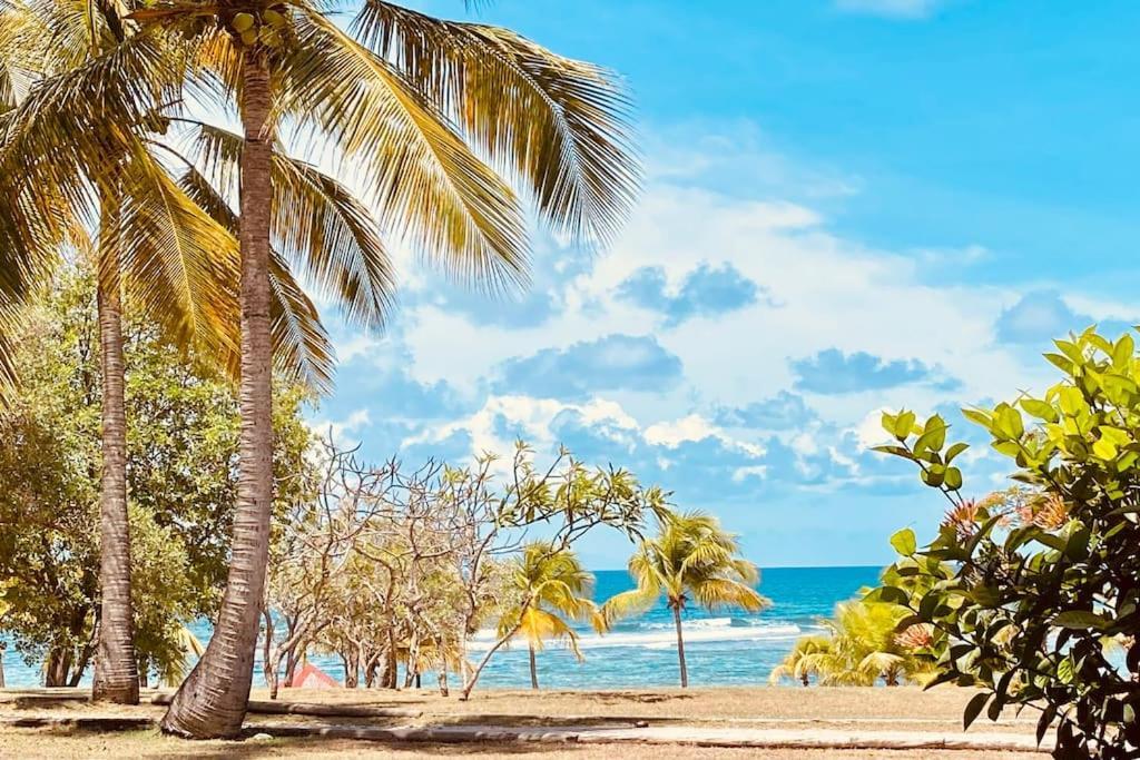 Accès Direct Plage Vue Mer d'exception Les Gwada Studios Village Vacances — 4-Star Luxury Hotel in Sainte-Anne, Guadeloupe