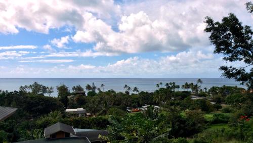 Kalani Hawaii Private Lodging - photo 79