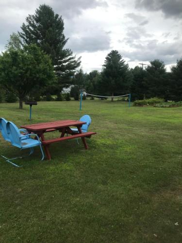 Four Seasons Motor Inn - photo 6