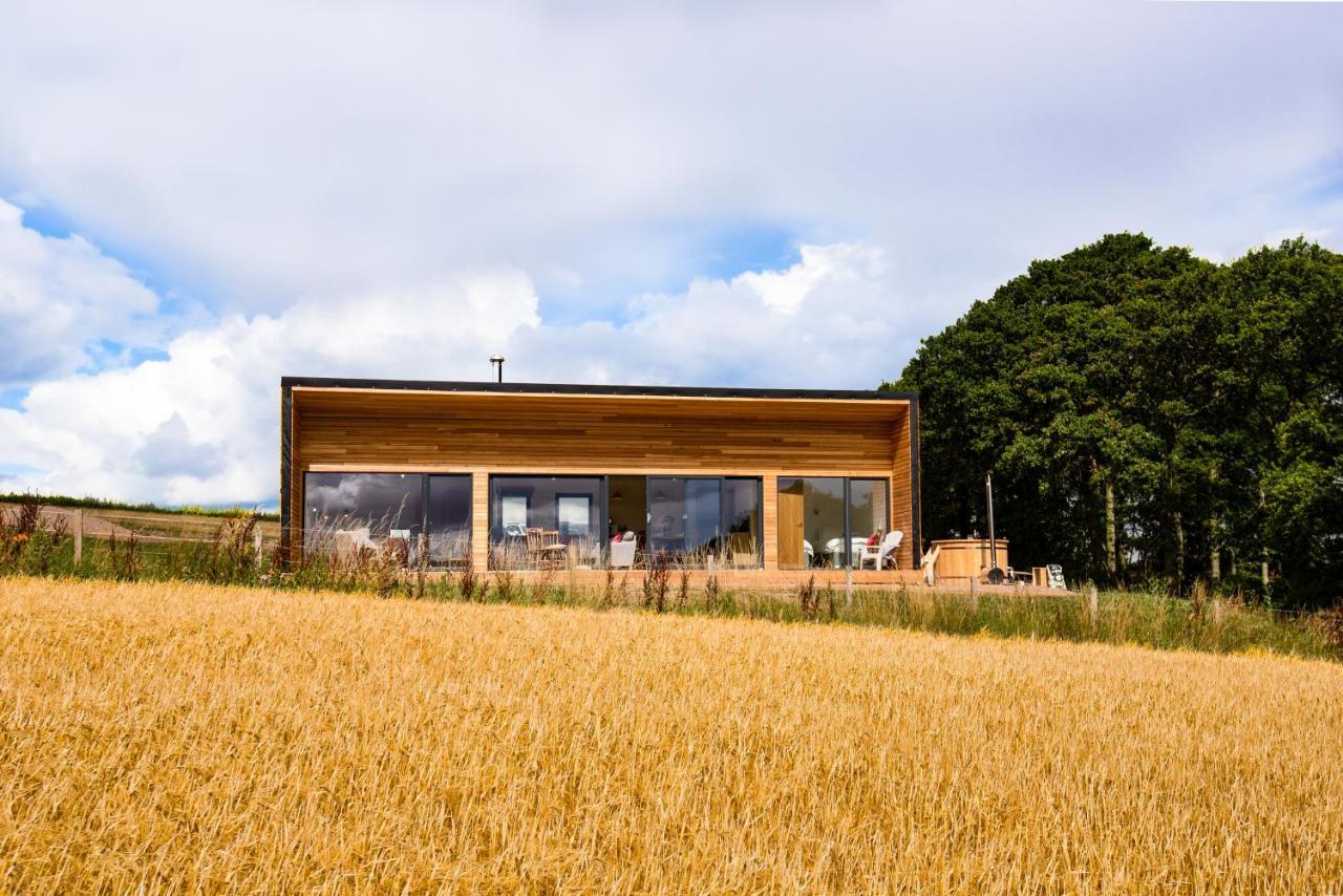 Orchard Hideaway — Kelso — photo 3