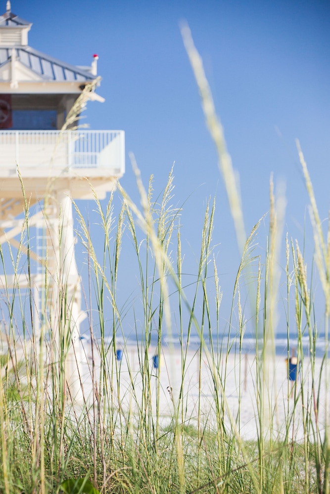 The Salty Mermaid Oceanfront Hotel - photo 17