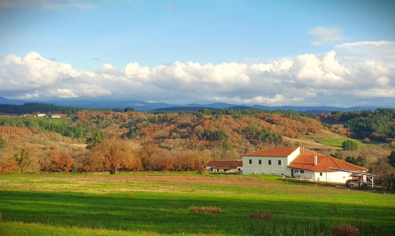 Casa Mato — 4-Star Luxury Hotel in Monforte De Lemos, Spain