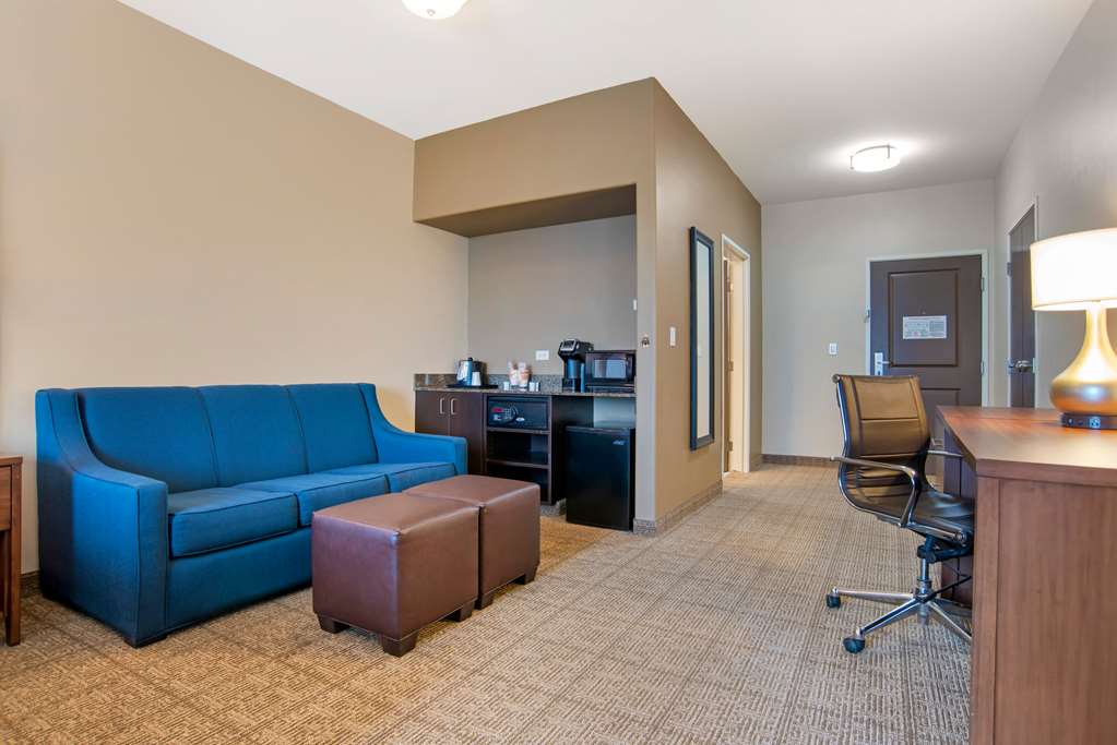 Comfort Suites Alexandria North - photo 13