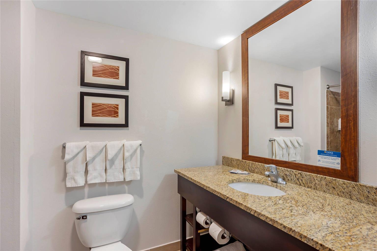 Comfort Inn & Suites Sayre - photo 9
