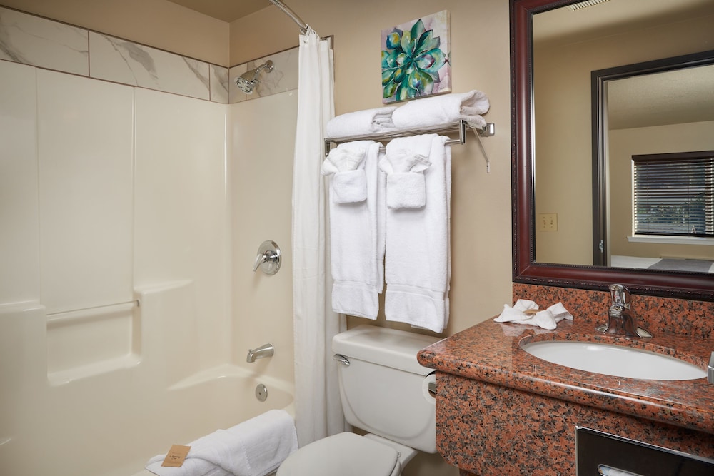 The Hotel Garibaldi - photo 10