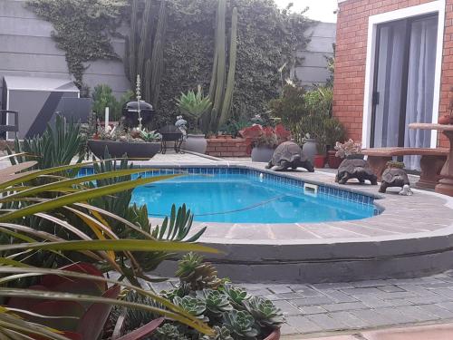 Mi Amor Accommodation — 4-Star Luxury Hotel in Cape Town, South Africa