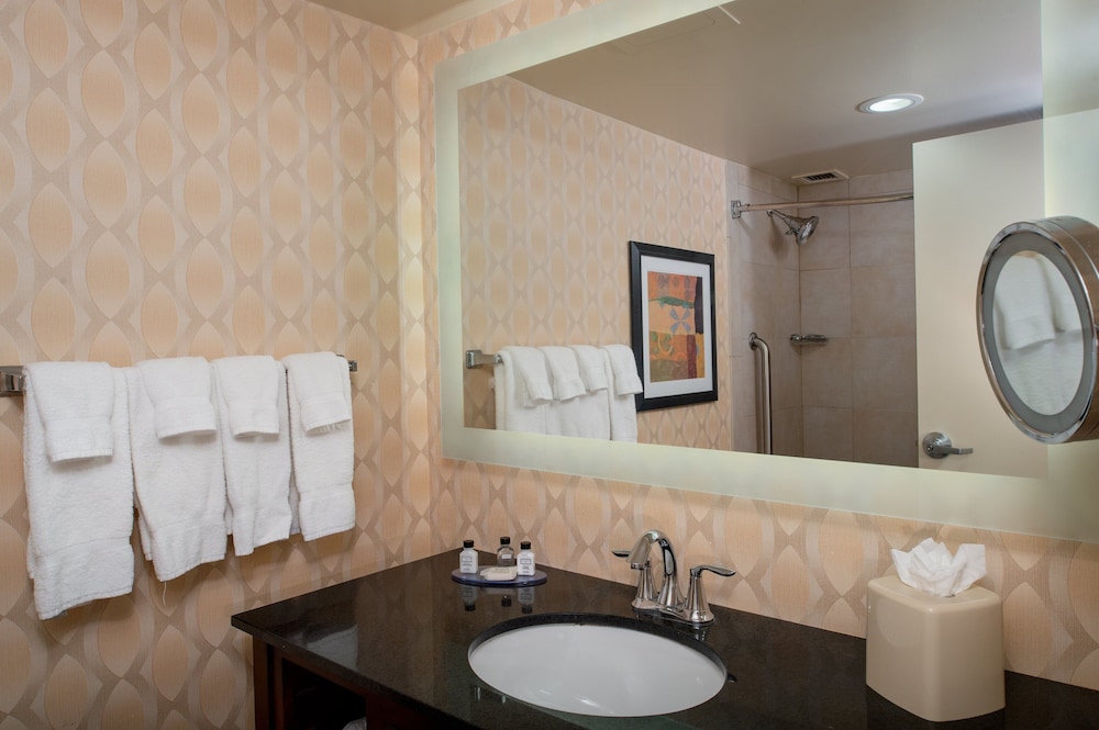 Crowne Plaza St. Louis Airport by IHG - photo 121