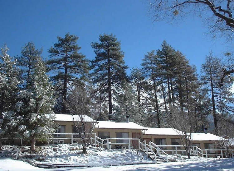 Pine Woods Resort - photo 5