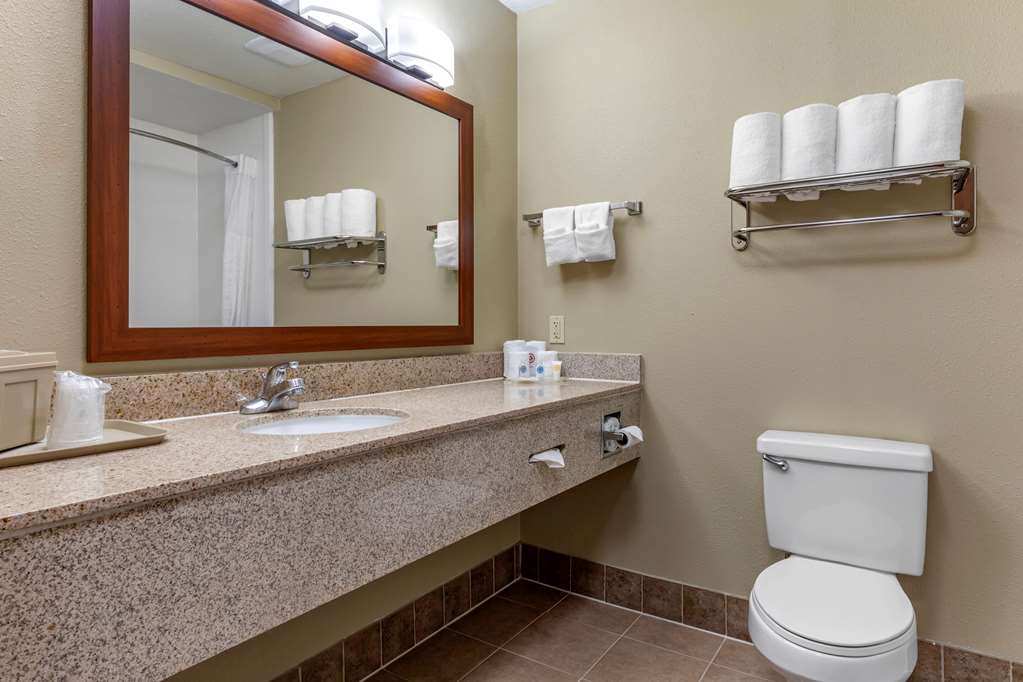 Comfort Suites Waco Near University Area - photo 17