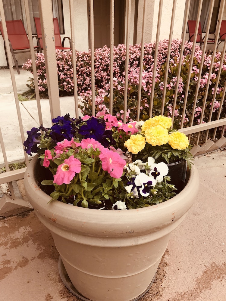 Hotel d Lins Ontario Airport - photo 22