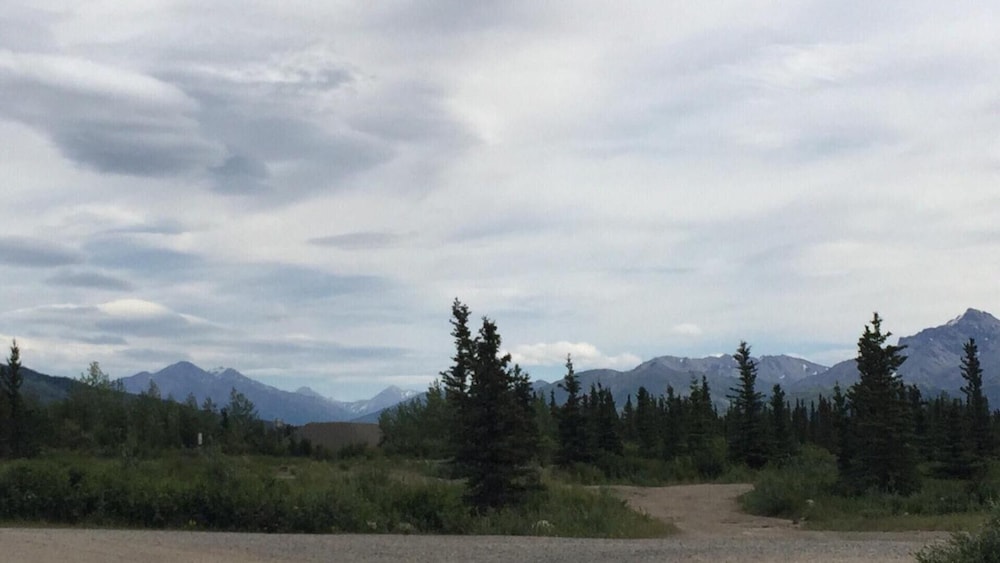 Denali Park Hotel - photo 36