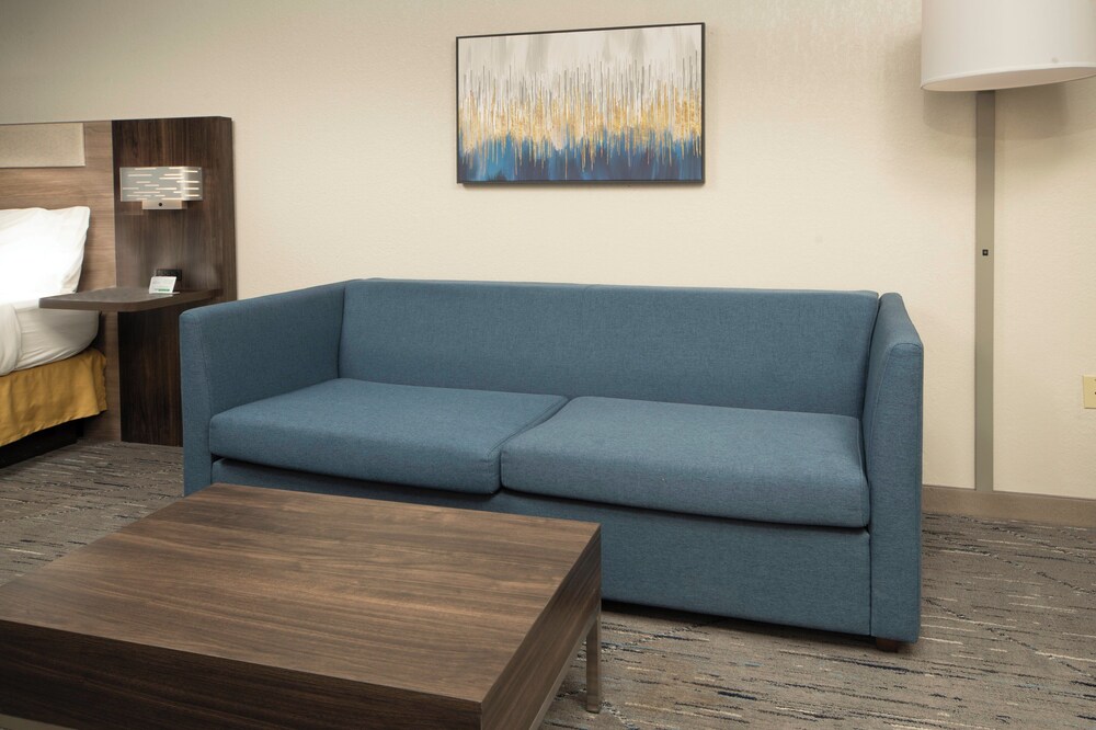 Holiday Inn Express & Suites Little Rock West by IHG - photo 7