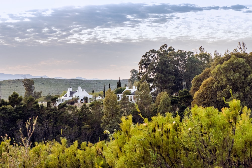 Galenia Estate — 4-Star Luxury Hotel in Montagu, South Africa