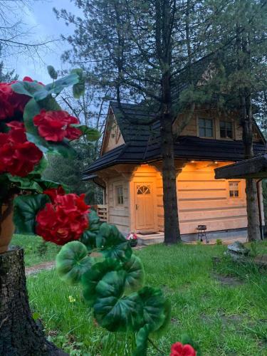 Tatra Wolf House — 4-Star Luxury Hotel in Koscielisko, Poland
