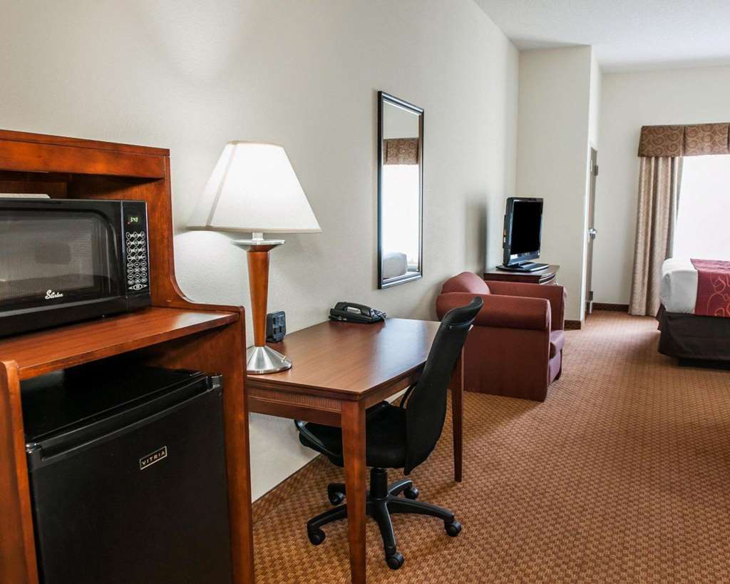 Comfort Suites near Indianapolis Airport - photo 13