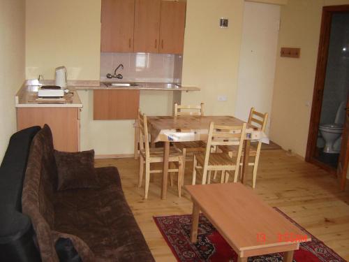 Old Metekhi Apartment