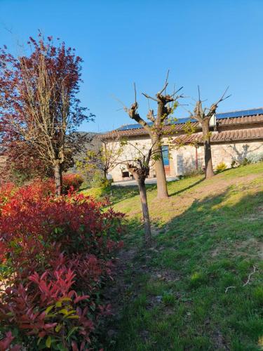 La Bottega Di Torreluca — Todi