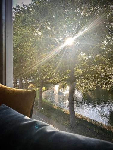 Suite Canalhouse Majestic