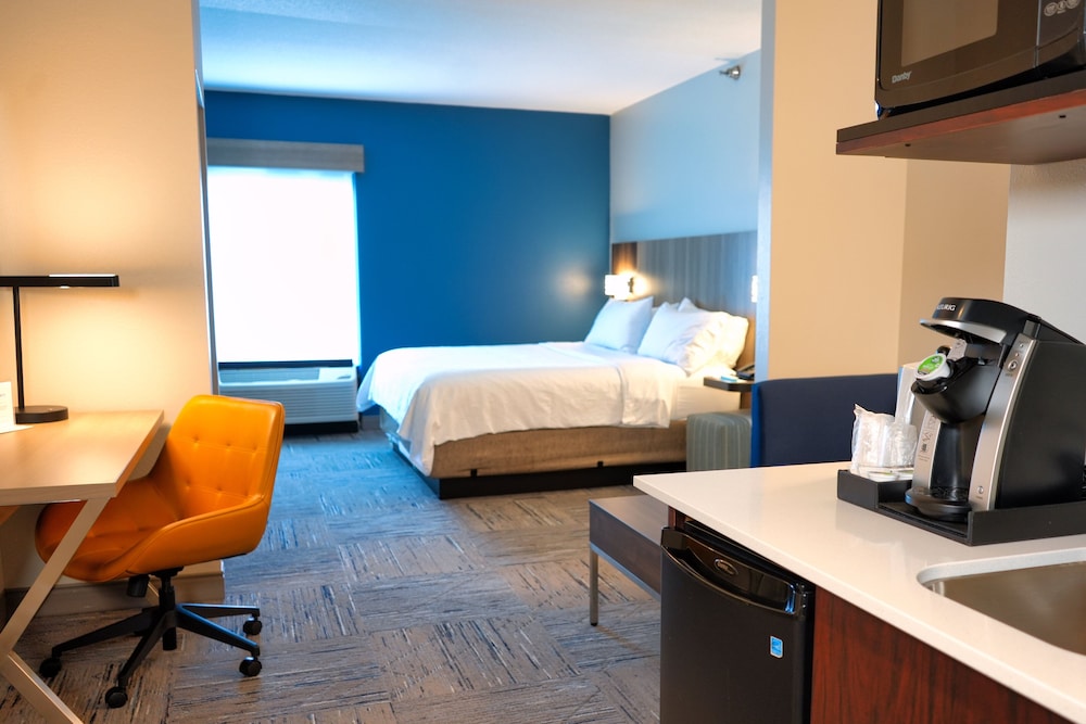Holiday Inn Express Hotel & Suites Tampa Northwest Oldsmar by IHG - photo 14