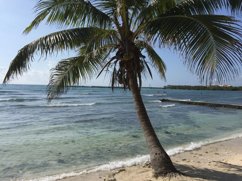 Villa Marina Aventuras — 4-Star Luxury Hotel in Puerto Aventuras, Mexico