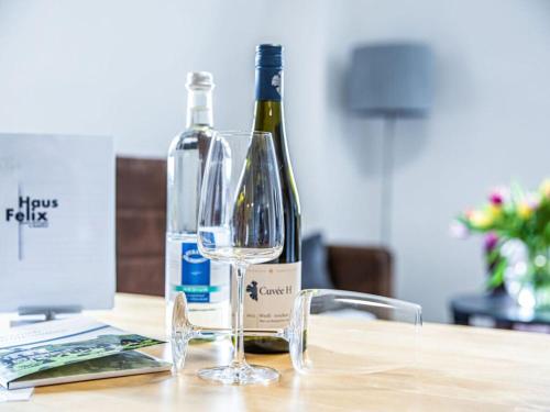 Weinberg uitzicht in het Felix huis in Radebeul, Germany