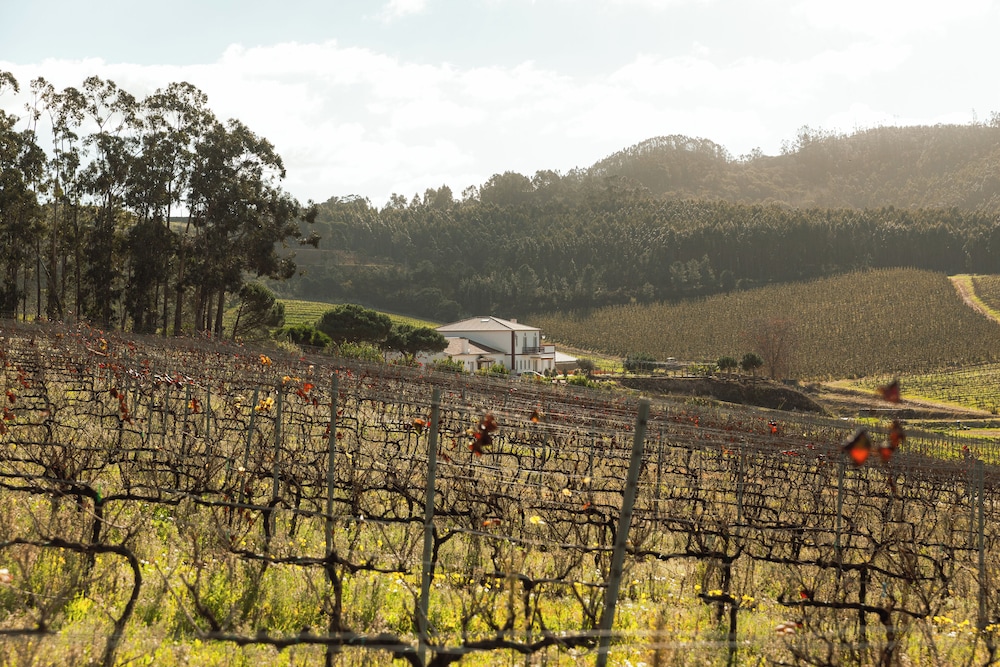 Quinta da Murnalha in Mafra, Portugal