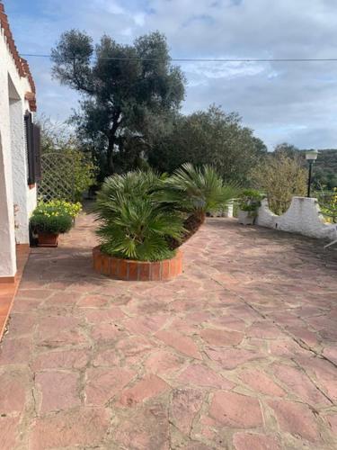 Villa Gioia — Carloforte — photo 4