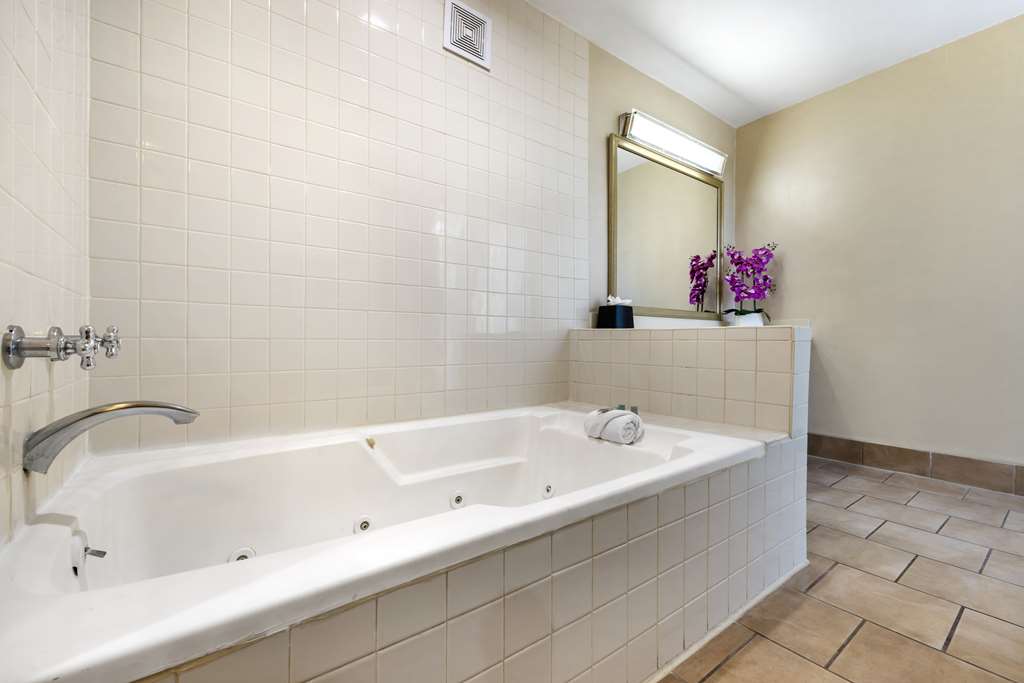 Best Western Royal Palace Inn & Suites - photo 44