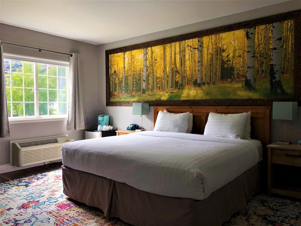 Blue Elk Inn - photo 12