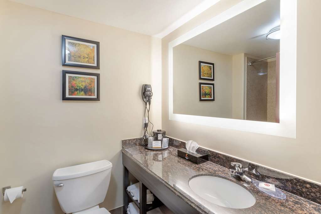 Comfort Inn Orange I 10 - photo 19