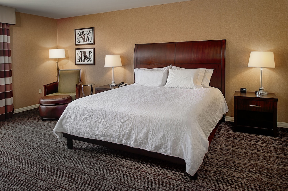 Hilton Garden Inn St. Louis Airport - photo 21