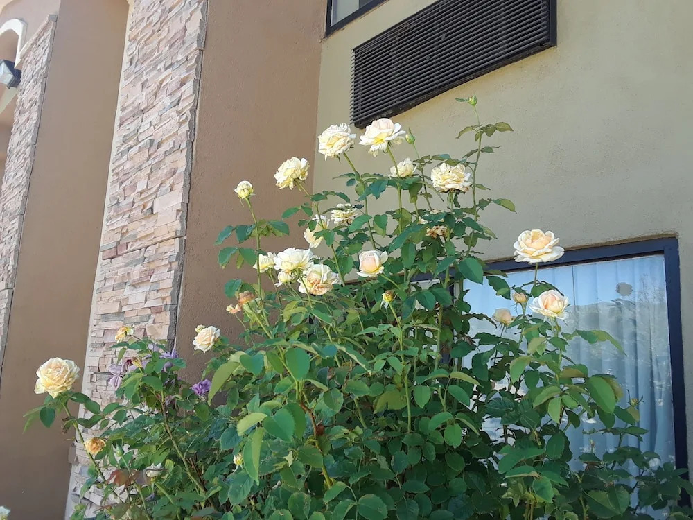 Ramada by Wyndham Albuquerque East
