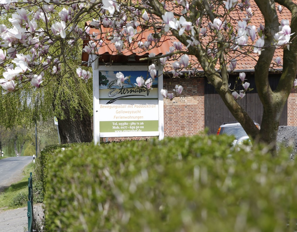 Eternahof — Bad Gandersheim — photo 2