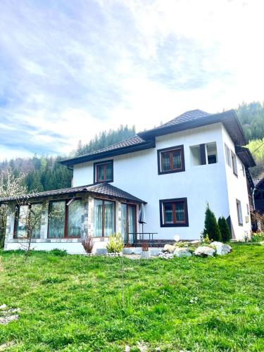 Casa Ovidiu 21745442 — Pojorata